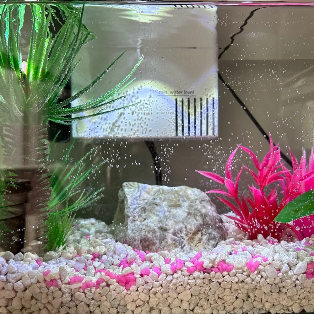 Glass Betta Fish Starting Kit - Picture 2 of 7